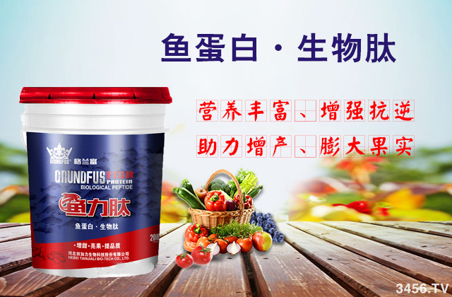 “鱼蛋白”肥料这么火,但你真正了解它吗? “鱼蛋白”肥料这么火,但你真正了解它吗?