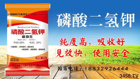 磷酸二氢钾实用的使用方法有哪些?磷酸二氢钾的作用是什么? 磷酸二氢钾实用的使用方法有哪些?磷酸二氢钾的作用是什么?