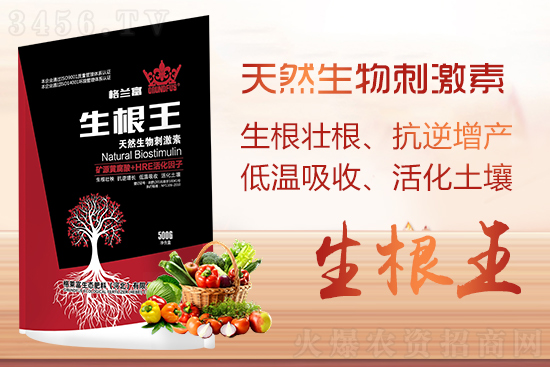快速爆根有秘方!简单一招,促根+抗逆+提质,爆发式生好根! 快速爆根有秘方!简单一招,促根+抗逆+提质,爆发式生好根!
